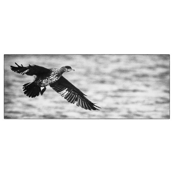 PHOTO84, CLUB, 84 , LUBERON